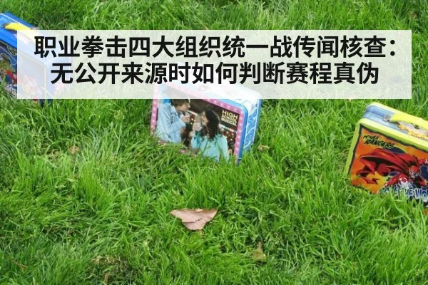 职业拳击四大组织统一战传闻核查：无公开来源时如何判断赛程真伪